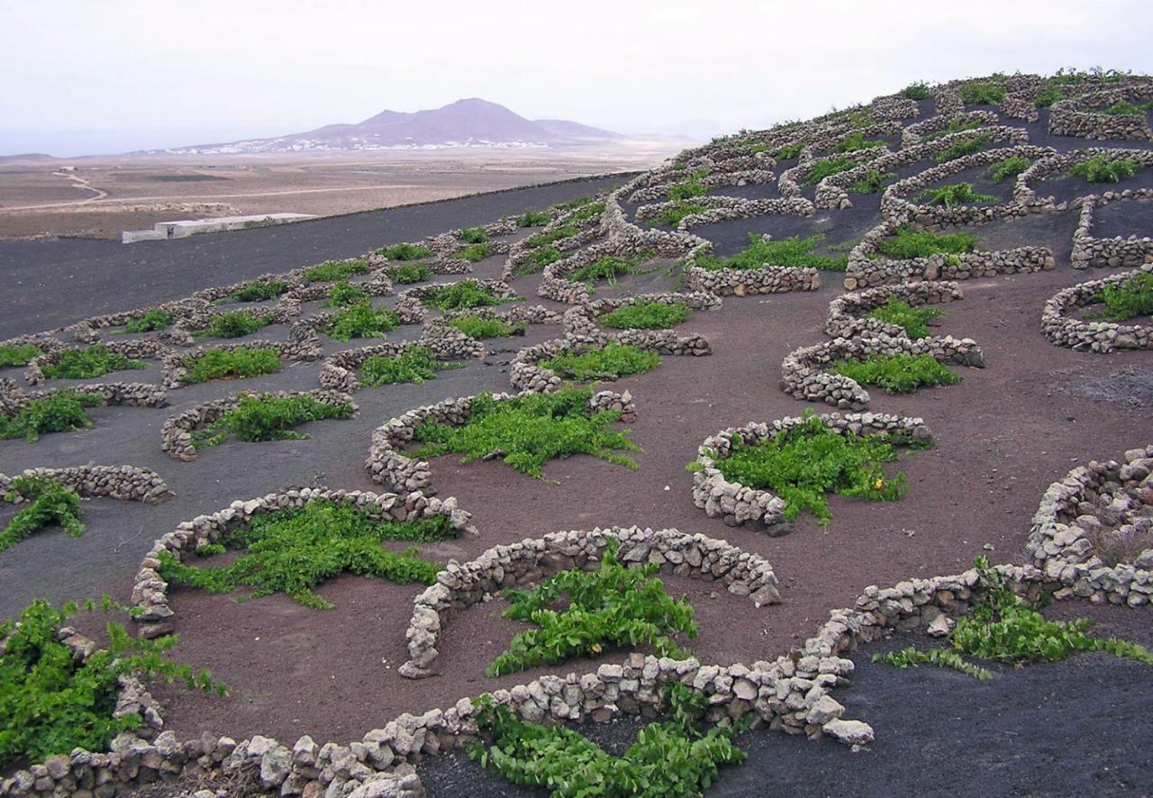 Casa El Gallo Teguise  Luaran gambar